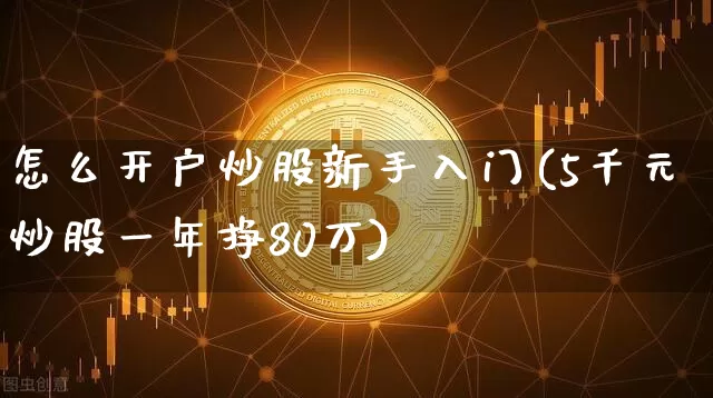 怎么开户炒股新手入门(5千元炒股一年挣80万)_https://www.jyywjc.com_股票_第1张
