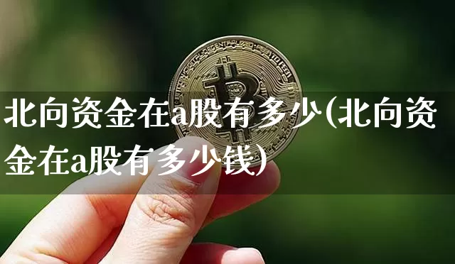 北向资金在a股有多少(北向资金在a股有多少钱)_https://www.jyywjc.com_股票板块_第1张