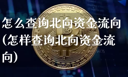 怎么查询北向资金流向(怎样查询北向资金流向)_https://www.jyywjc.com_股票板块_第1张