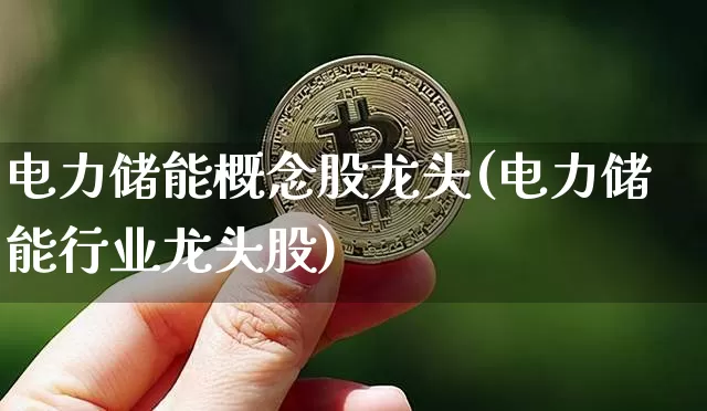 电力储能概念股龙头(电力储能行业龙头股)_https://www.jyywjc.com_股票价格_第1张
