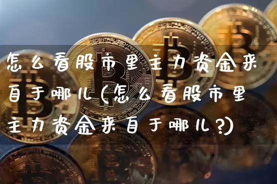 怎么看股市里主力资金来自于哪儿(怎么看股市里主力资金来自于哪儿?)_https://www.jyywjc.com_股票价格_第1张