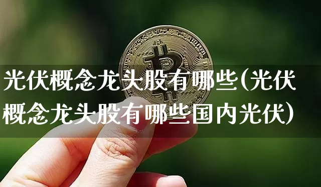 光伏概念龙头股有哪些(光伏概念龙头股有哪些国内光伏)_https://www.jyywjc.com_上交所_第1张