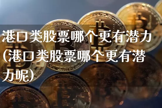 港口类股票哪个更有潜力(港口类股票哪个更有潜力呢)_https://www.jyywjc.com_股票价格_第1张