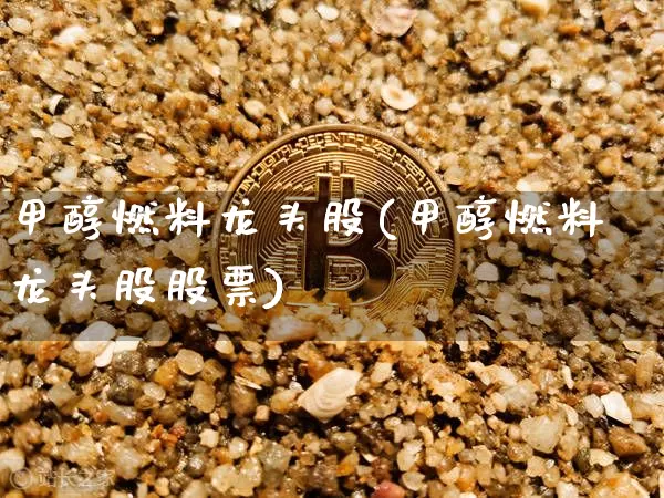 甲醇燃料龙头股(甲醇燃料龙头股股票)_https://www.jyywjc.com_股票趋势_第1张