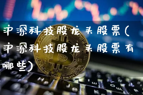 沪深科技股龙头股票(沪深科技股龙头股票有哪些)_https://www.jyywjc.com_股票价格_第1张