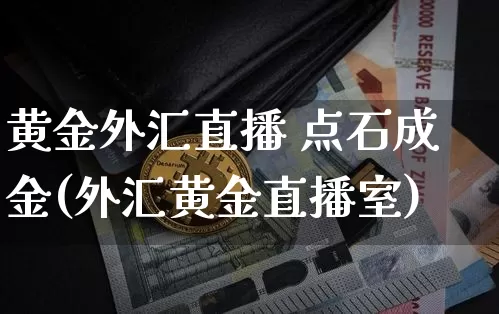 黄金外汇直播 点石成金(外汇黄金直播室)_https://www.jyywjc.com_股票_第1张