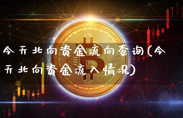 今天北向资金流向查询(今天北向资金流入情况)_https://www.jyywjc.com_股票_第1张