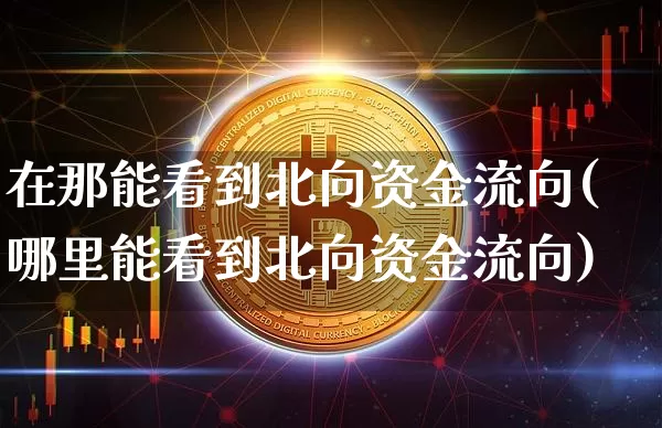 在那能看到北向资金流向(哪里能看到北向资金流向)_https://www.jyywjc.com_股票行情_第1张