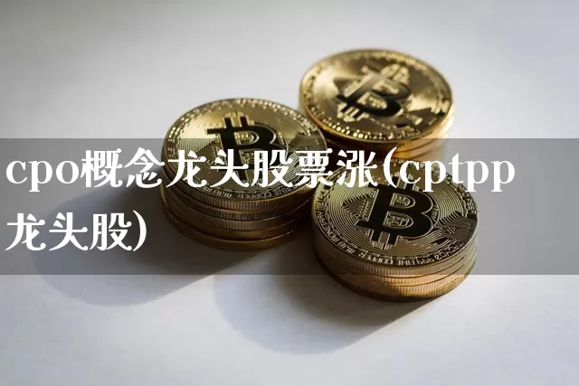 cpo概念龙头股票涨(cptpp龙头股)_https://www.jyywjc.com_创业板_第1张