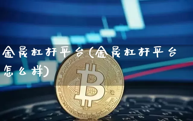 金晟杠杆平台(金晟杠杆平台怎么样)_https://www.jyywjc.com_股票_第1张