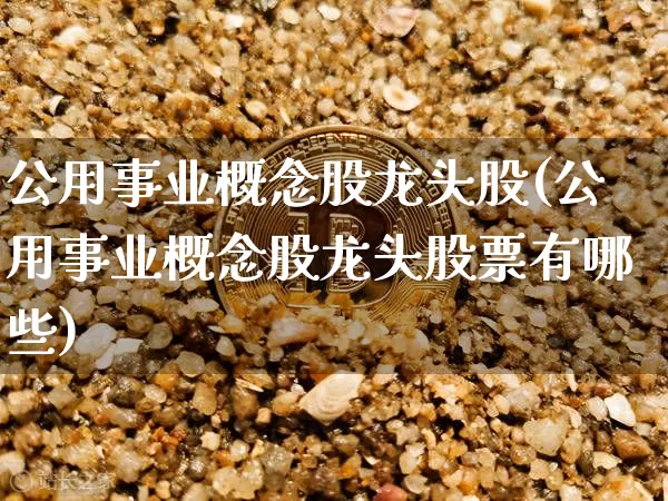公用事业概念股龙头股(公用事业概念股龙头股票有哪些)_https://www.jyywjc.com_股票价格_第1张