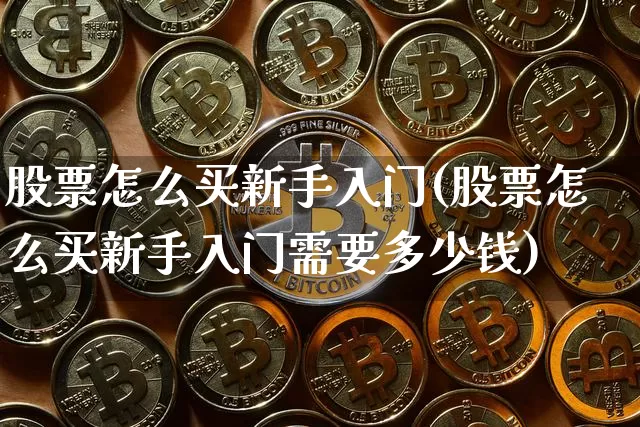 股票怎么买新手入门(股票怎么买新手入门需要多少钱)_https://www.jyywjc.com_股票_第1张