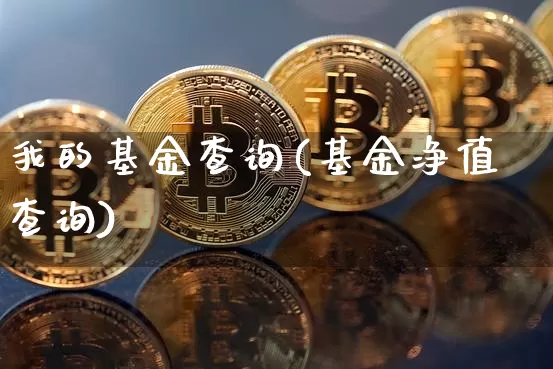 我的基金查询(基金净值查询)_https://www.jyywjc.com_股票板块_第1张