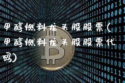 甲醇燃料龙头股股票(甲醇燃料龙头股股票代码)_https://www.jyywjc.com_股票价格_第1张