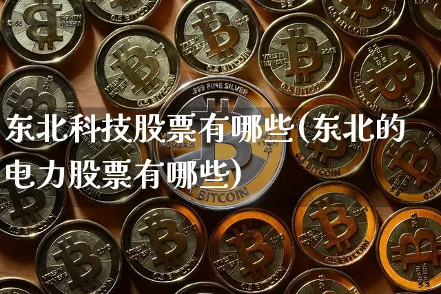 东北科技股票有哪些(东北的电力股票有哪些)_https://www.jyywjc.com_股票行情_第1张
