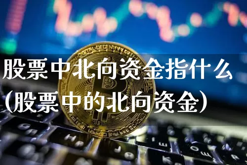 股票中北向资金指什么(股票中的北向资金)_https://www.jyywjc.com_股票板块_第1张