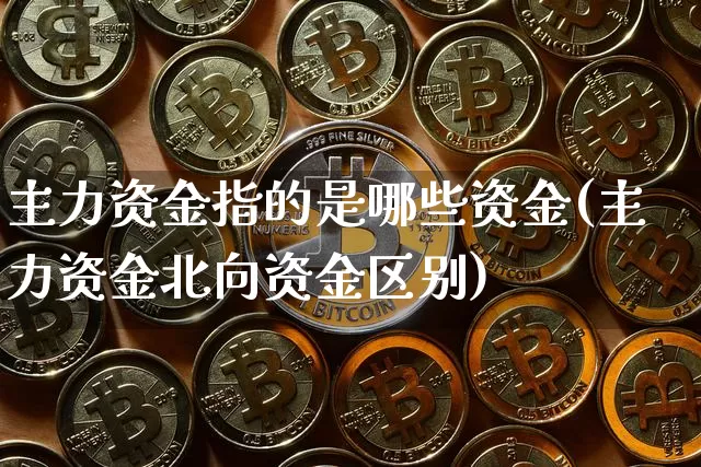 主力资金指的是哪些资金(主力资金北向资金区别)_https://www.jyywjc.com_股票价格_第1张
