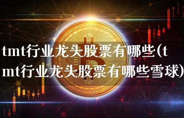 tmt行业龙头股票有哪些(tmt行业龙头股票有哪些雪球)_https://www.jyywjc.com_股票_第1张