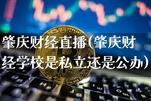 肇庆财经直播(肇庆财经学校是私立还是公办)_https://www.jyywjc.com_创业板_第1张