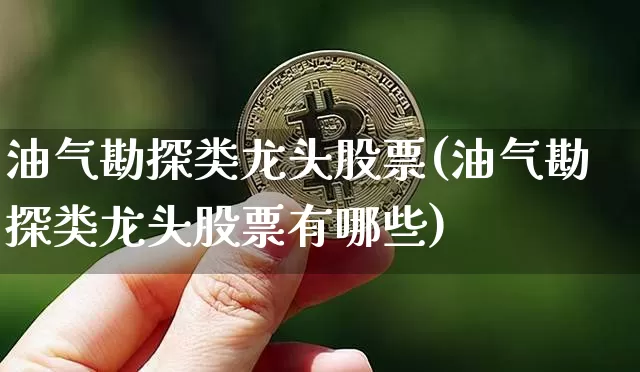 油气勘探类龙头股票(油气勘探类龙头股票有哪些)_https://www.jyywjc.com_股票_第1张