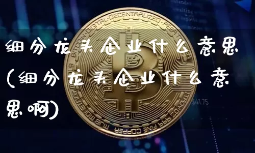细分龙头企业什么意思(细分龙头企业什么意思啊)_https://www.jyywjc.com_股票价格_第1张