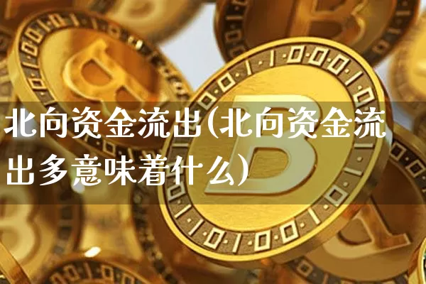 北向资金流出(北向资金流出多意味着什么)_https://www.jyywjc.com_股票趋势_第1张