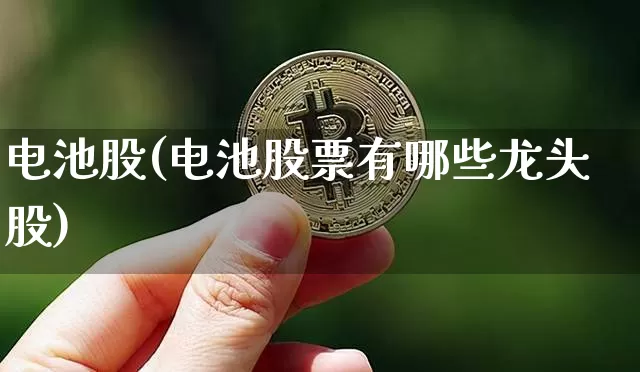 电池股(电池股票有哪些龙头股)_https://www.jyywjc.com_股票_第1张