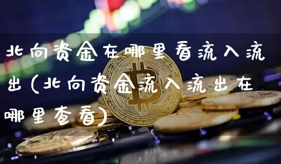 北向资金在哪里看流入流出(北向资金流入流出在哪里查看)_https://www.jyywjc.com_股票_第1张