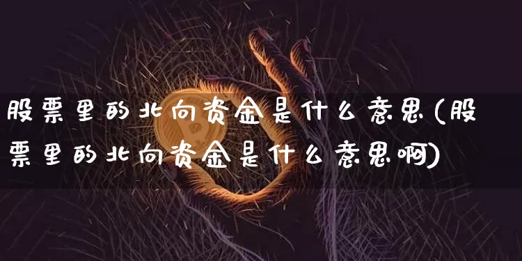 股票里的北向资金是什么意思(股票里的北向资金是什么意思啊)_https://www.jyywjc.com_股票板块_第1张