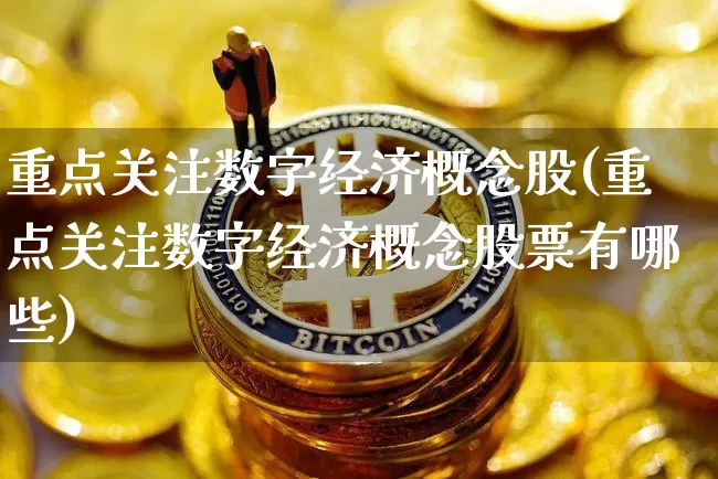 重点关注数字经济概念股(重点关注数字经济概念股票有哪些)_https://www.jyywjc.com_创业板_第1张