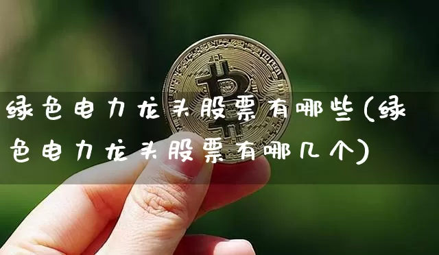 绿色电力龙头股票有哪些(绿色电力龙头股票有哪几个)_https://www.jyywjc.com_股票_第1张