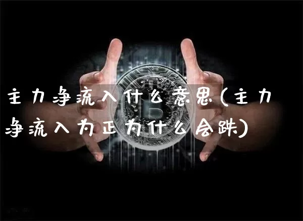 主力净流入什么意思(主力净流入为正为什么会跌)_https://www.jyywjc.com_股票价格_第1张