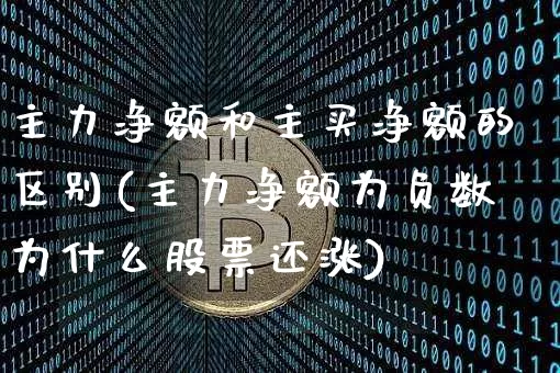 主力净额和主买净额的区别(主力净额为负数为什么股票还涨)_https://www.jyywjc.com_股票板块_第1张