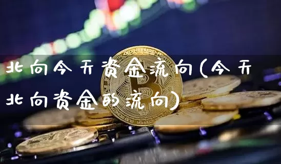 北向今天资金流向(今天北向资金的流向)_https://www.jyywjc.com_股票板块_第1张