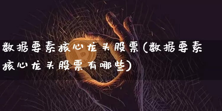 数据要素核心龙头股票(数据要素核心龙头股票有哪些)_https://www.jyywjc.com_深交所_第1张