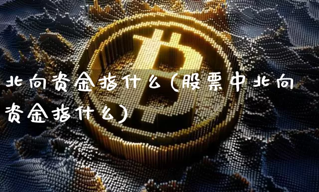 北向资金指什么(股票中北向资金指什么)_https://www.jyywjc.com_股票价格_第1张