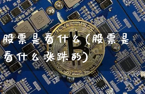 股票是看什么(股票是看什么涨跌的)_https://www.jyywjc.com_创业板_第1张