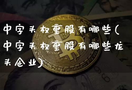中字头权重股有哪些(中字头权重股有哪些龙头企业)_https://www.jyywjc.com_创业板_第1张