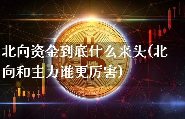北向资金到底什么来头(北向和主力谁更厉害)_https://www.jyywjc.com_股票板块_第1张