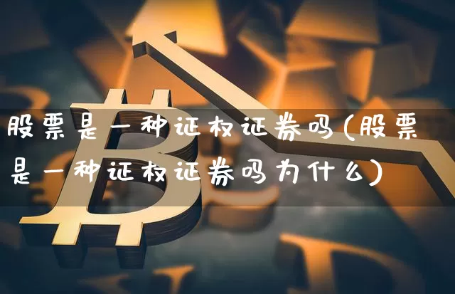 股票是一种证权证券吗(股票是一种证权证券吗为什么)_https://www.jyywjc.com_上交所_第1张