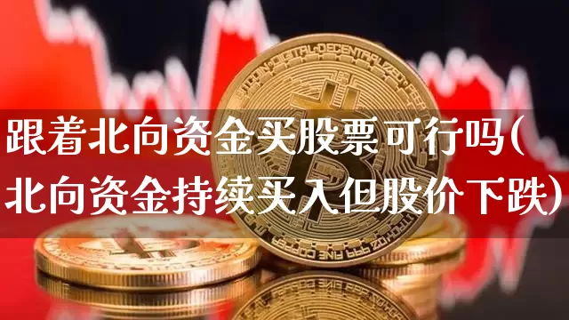 跟着北向资金买股票可行吗(北向资金持续买入但股价下跌)_https://www.jyywjc.com_股票行情_第1张
