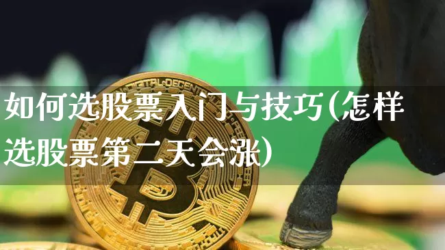 如何选股票入门与技巧(怎样选股票第二天会涨)_https://www.jyywjc.com_股票价格_第1张