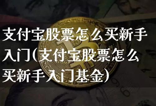 支付宝股票怎么买新手入门(支付宝股票怎么买新手入门基金)_https://www.jyywjc.com_股票板块_第1张