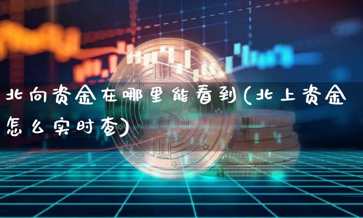 北向资金在哪里能看到(北上资金怎么实时查)_https://www.jyywjc.com_股票_第1张