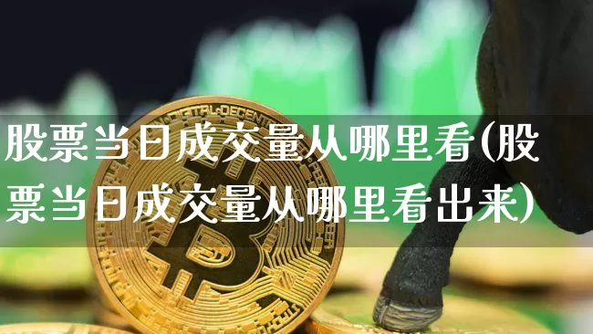 股票当日成交量从哪里看(股票当日成交量从哪里看出来)_https://www.jyywjc.com_上交所_第1张