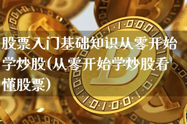 股票入门基础知识从零开始学炒股(从零开始学炒股看懂股票)_https://www.jyywjc.com_股票板块_第1张