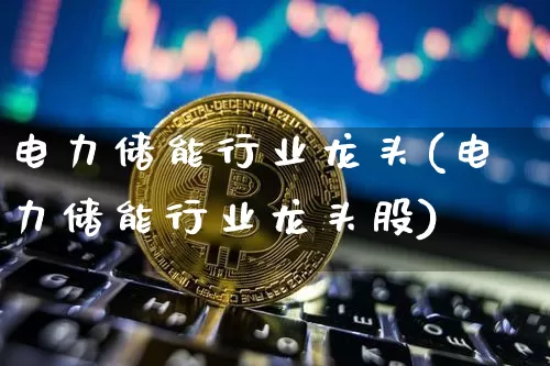 电力储能行业龙头(电力储能行业龙头股)_https://www.jyywjc.com_股票价格_第1张