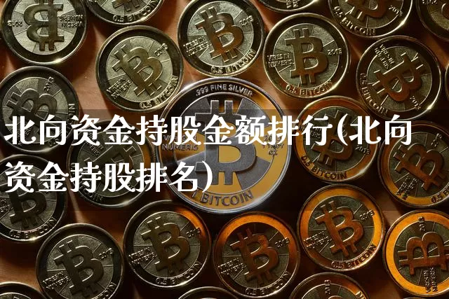 北向资金持股金额排行(北向资金持股排名)_https://www.jyywjc.com_股票趋势_第1张
