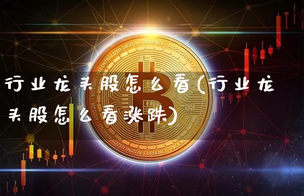 行业龙头股怎么看(行业龙头股怎么看涨跌)_https://www.jyywjc.com_股票价格_第1张