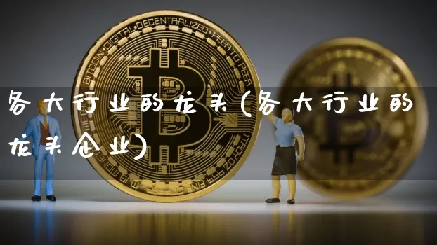 各大行业的龙头(各大行业的龙头企业)_https://www.jyywjc.com_股票_第1张